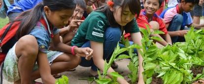 Een Projects Abroad vrijwilliger op groepsreis helpt met het onderhouden van de plantentuin als onderdeel van haar vrijwilligersproject in Cambodja. Vrijwilligers op groepsreis Kinderopvang in Cambodja helpen ook met andere taken zoals het renoveren van de groententuin.